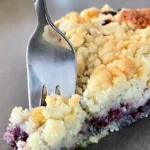 blaubeer streuselkuchen 2026 07 09 182138
